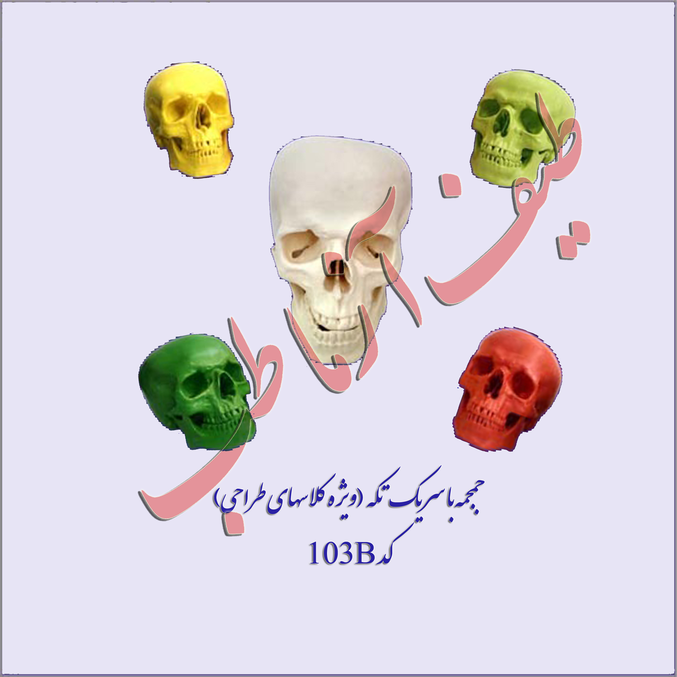 جمجمه انسان