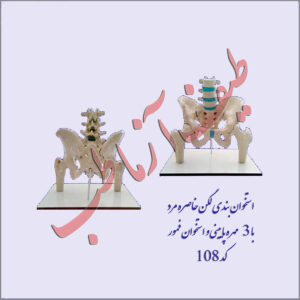 لگن خاصره