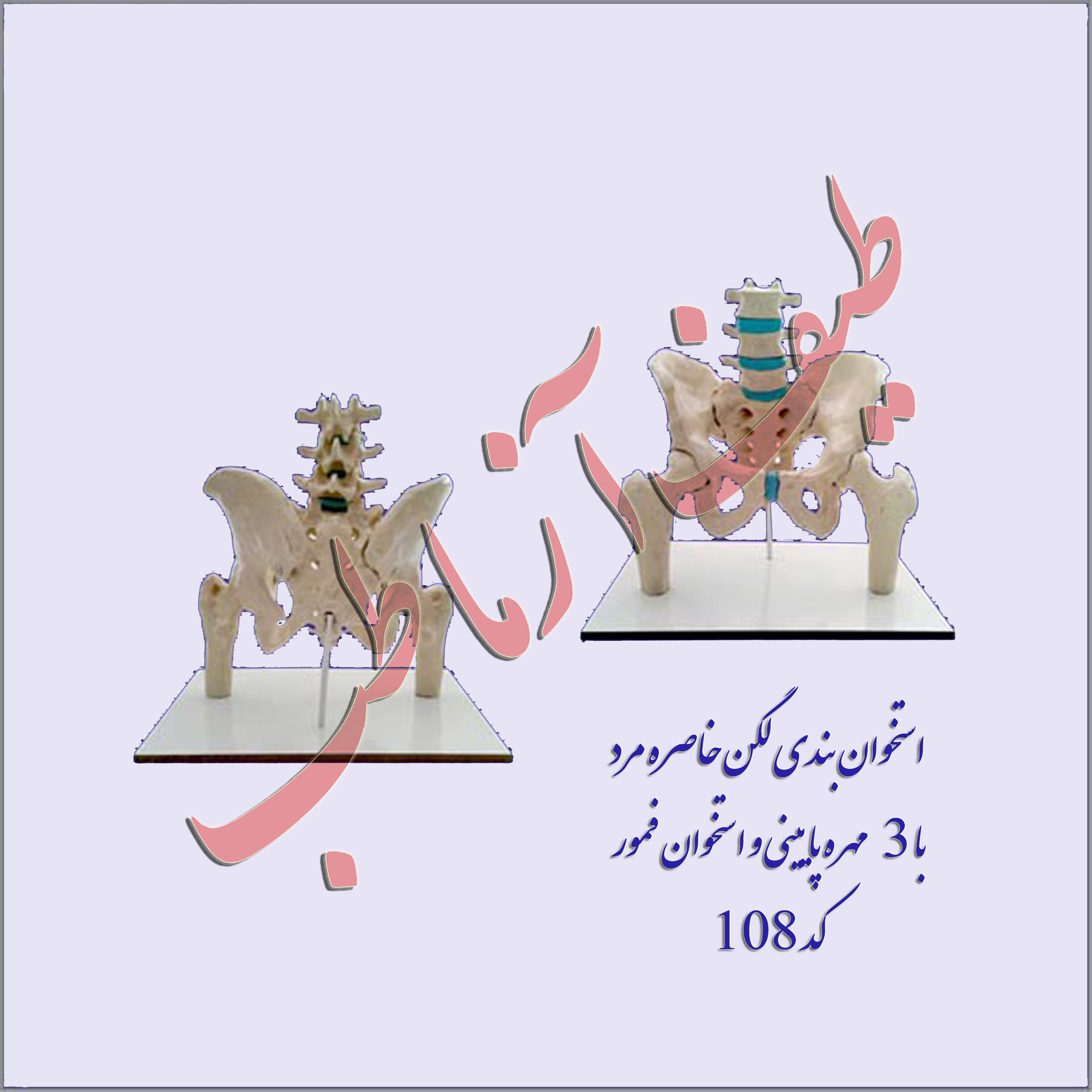 لگن خاصره
