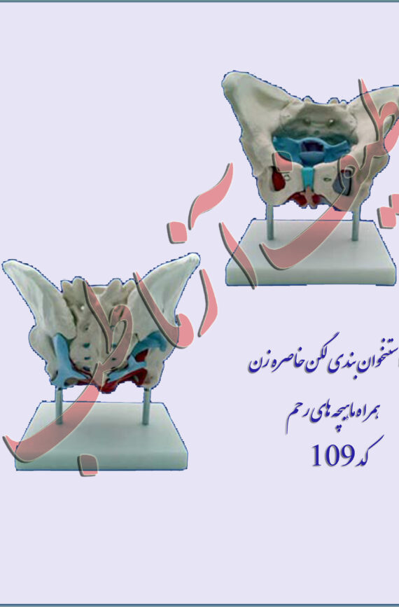 لگن خاصره