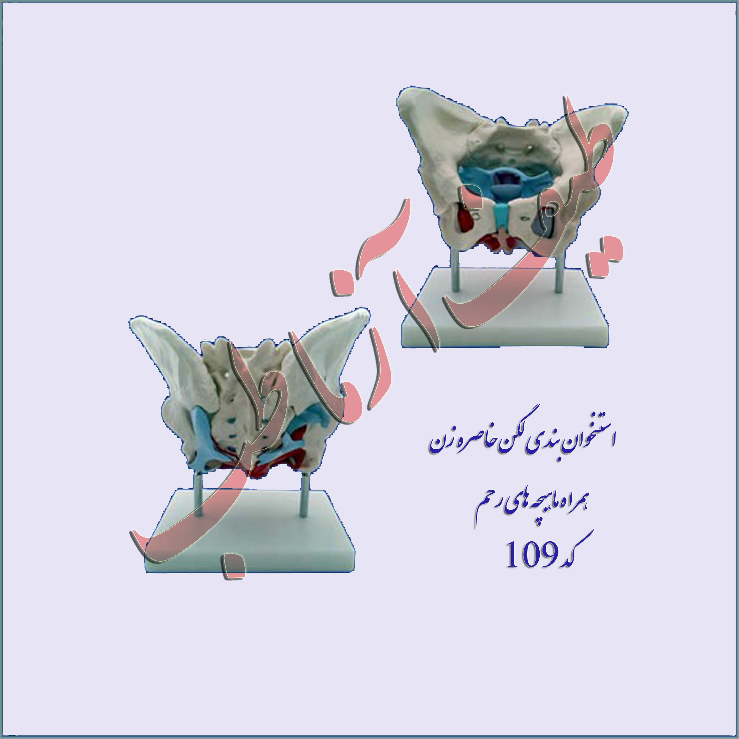 لگن خاصره