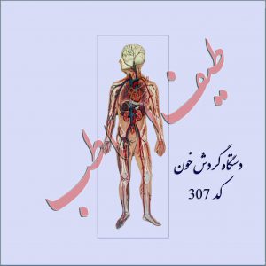 گردش خون