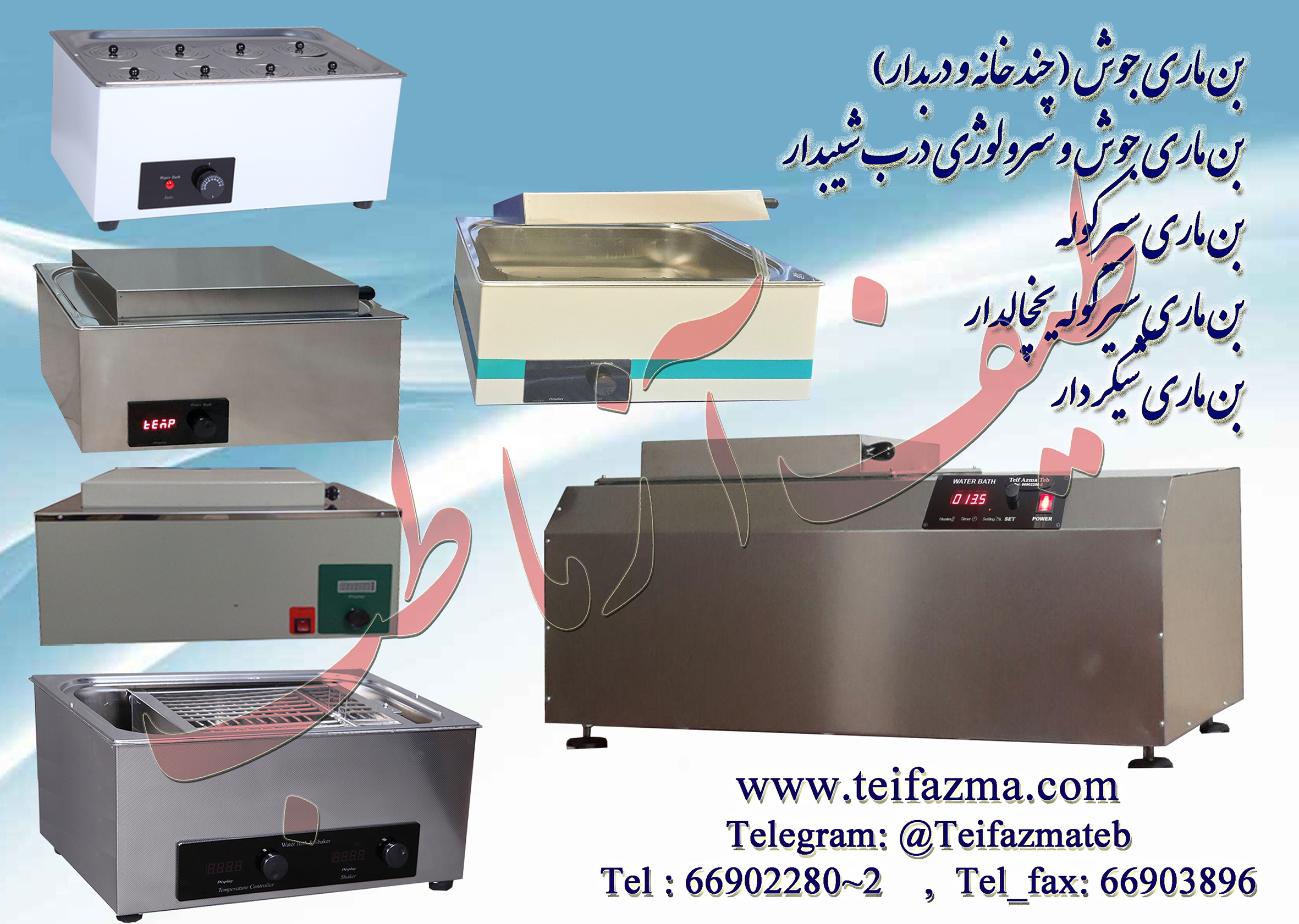 بن ماری شیکردار