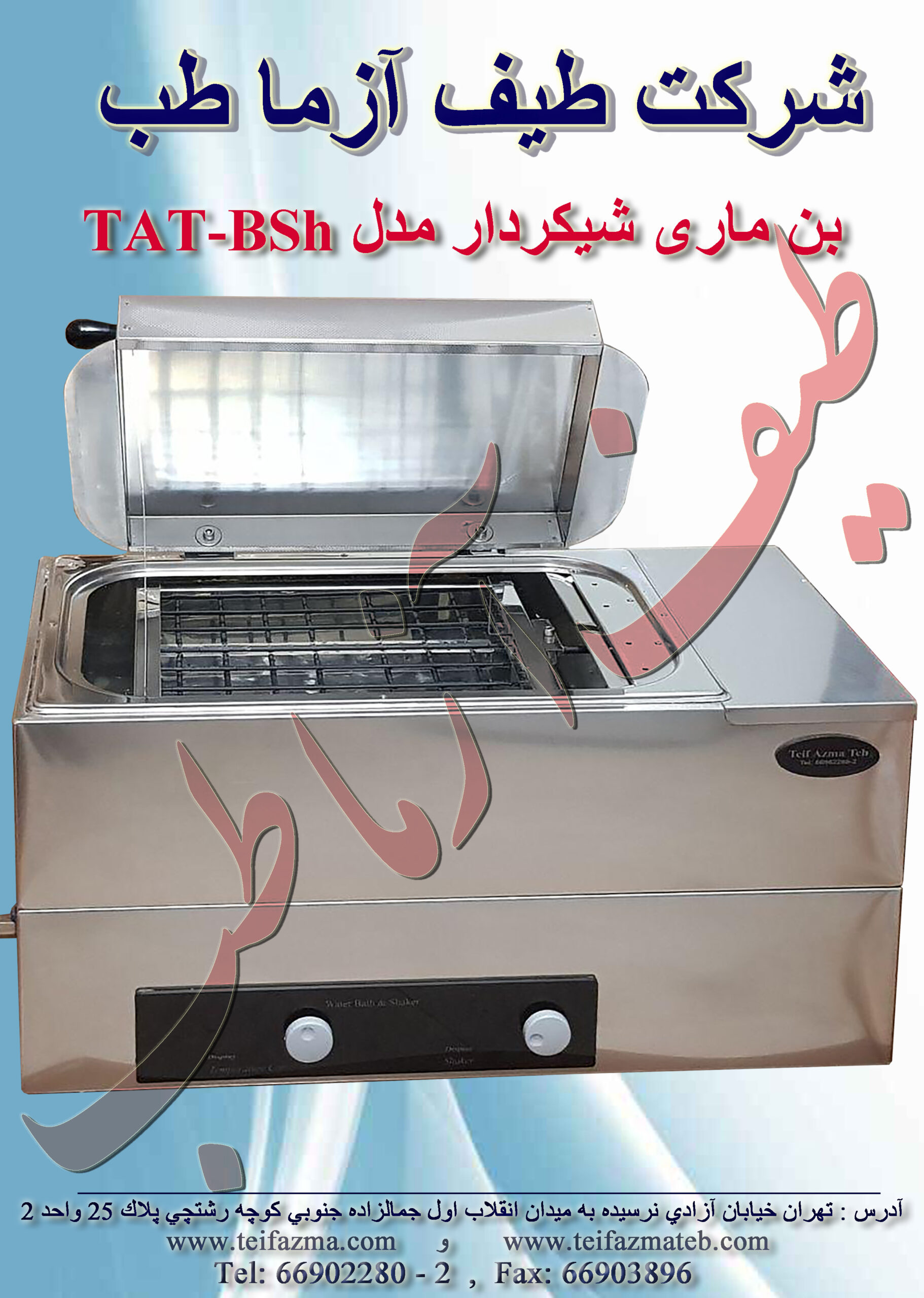 بن ماري شيكردار