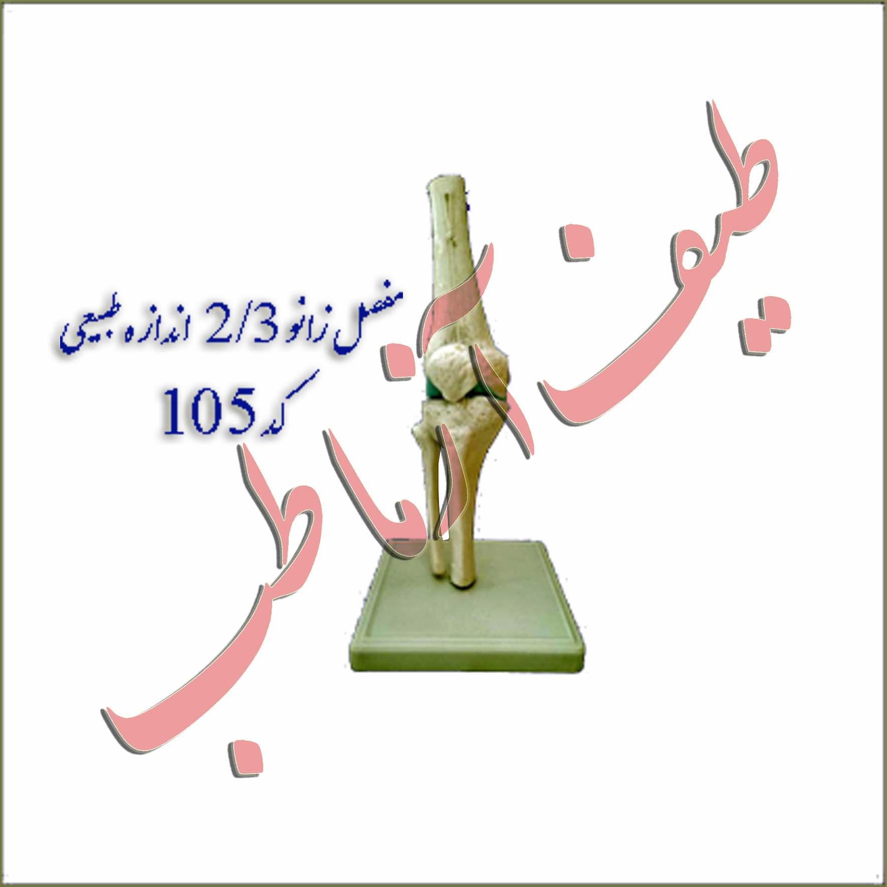 مفصل زانو