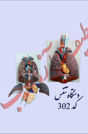 کارکرد