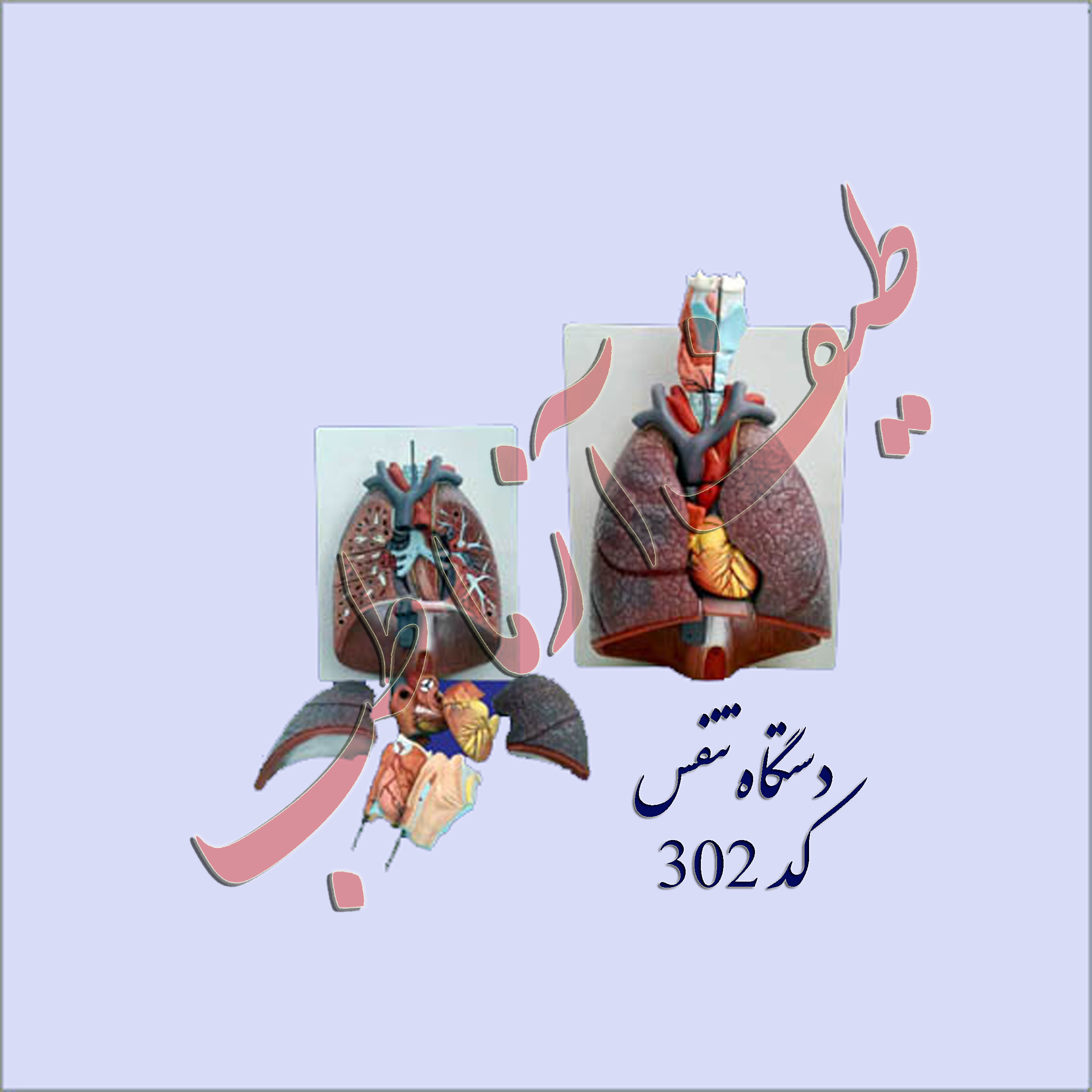 کارکرد