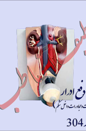 دستگاه ادراری