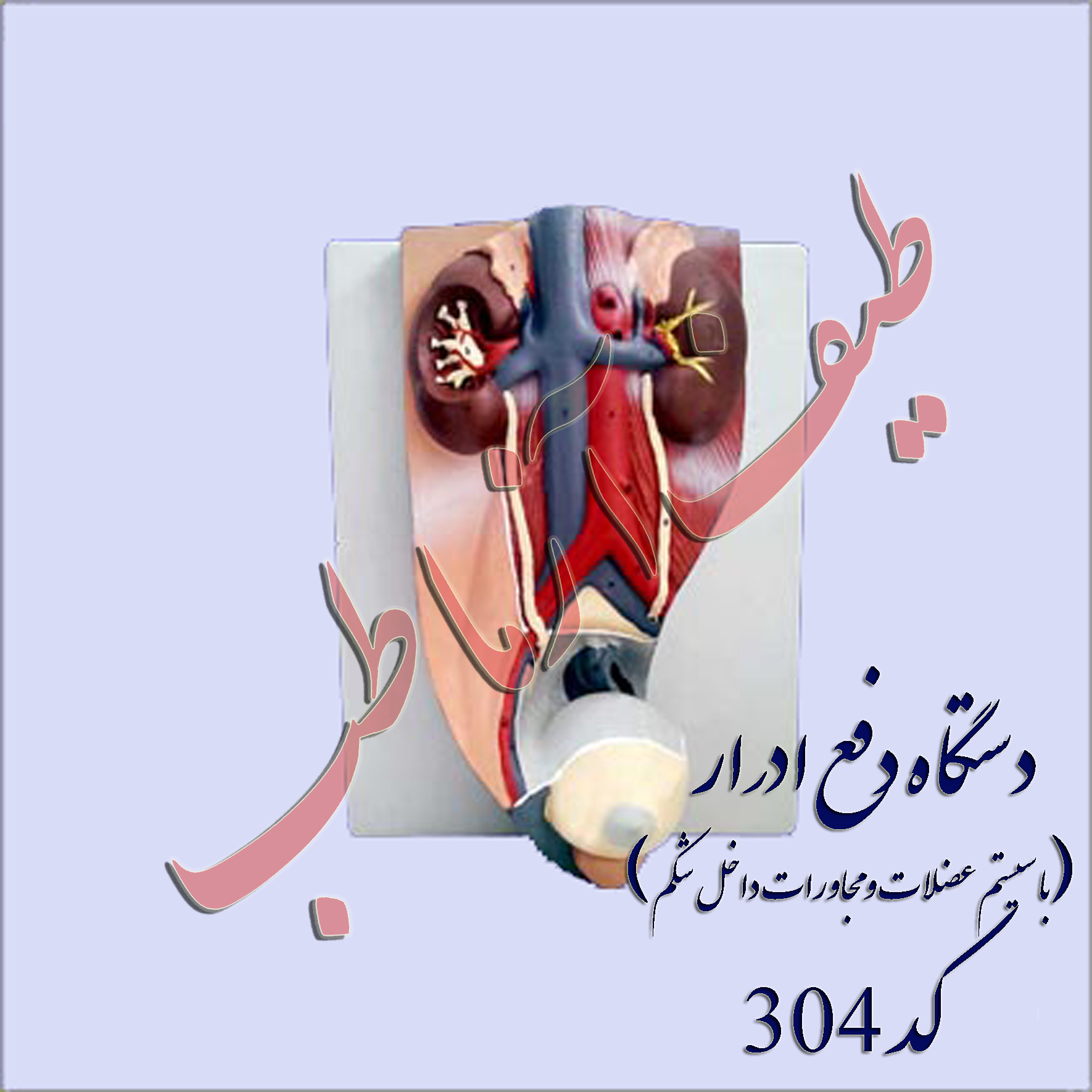 دستگاه ادراری