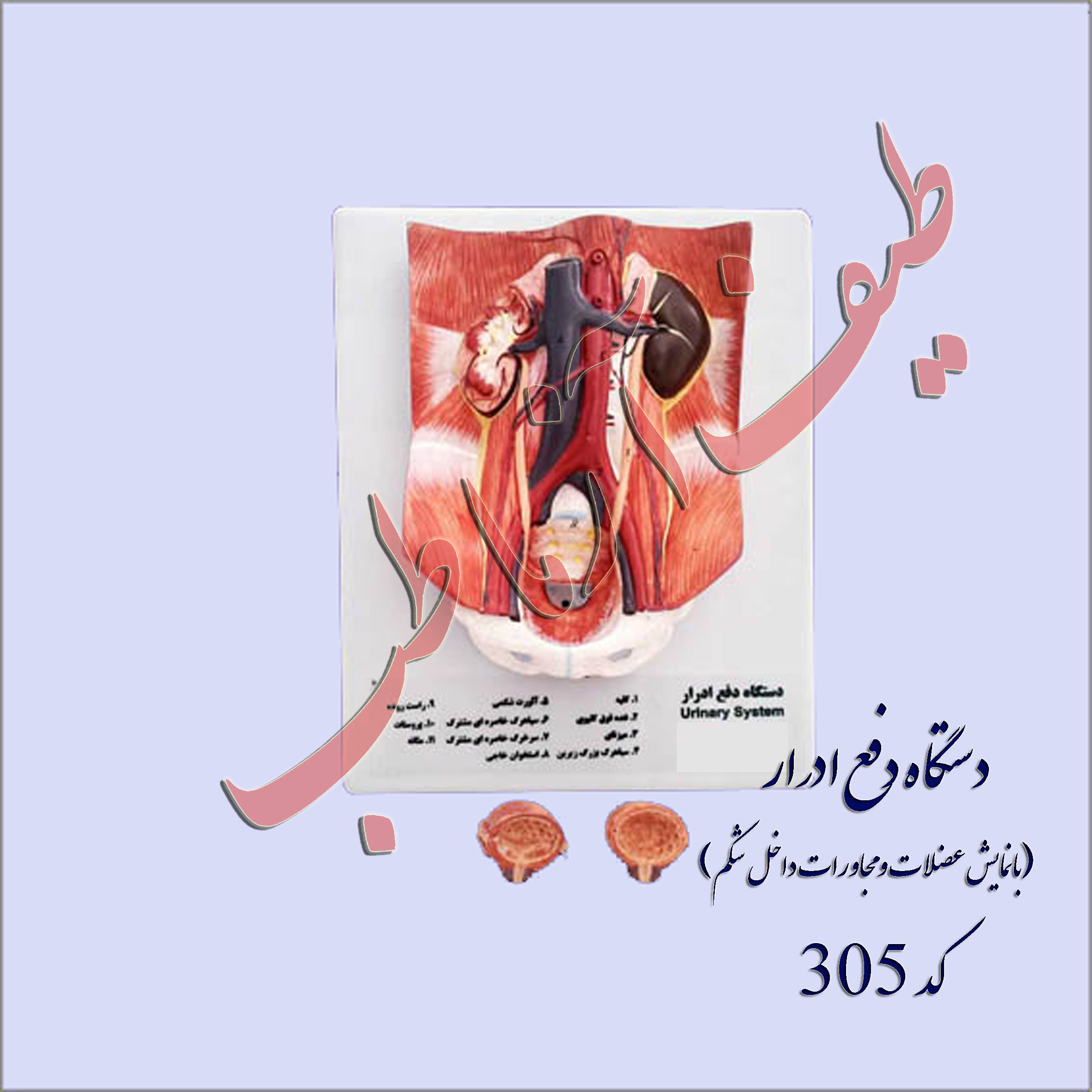 دستگاه ادراری