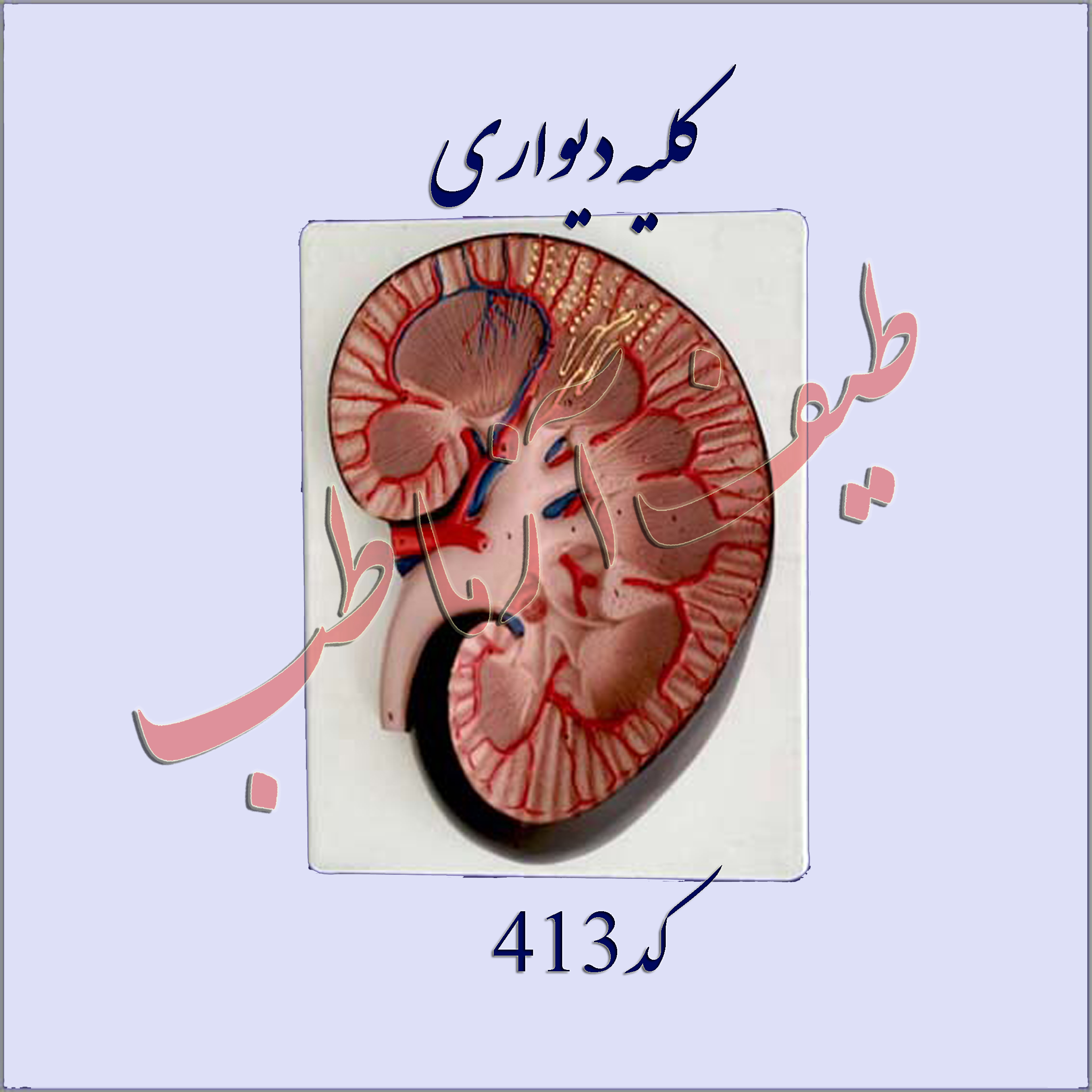 دستگاه ادراری