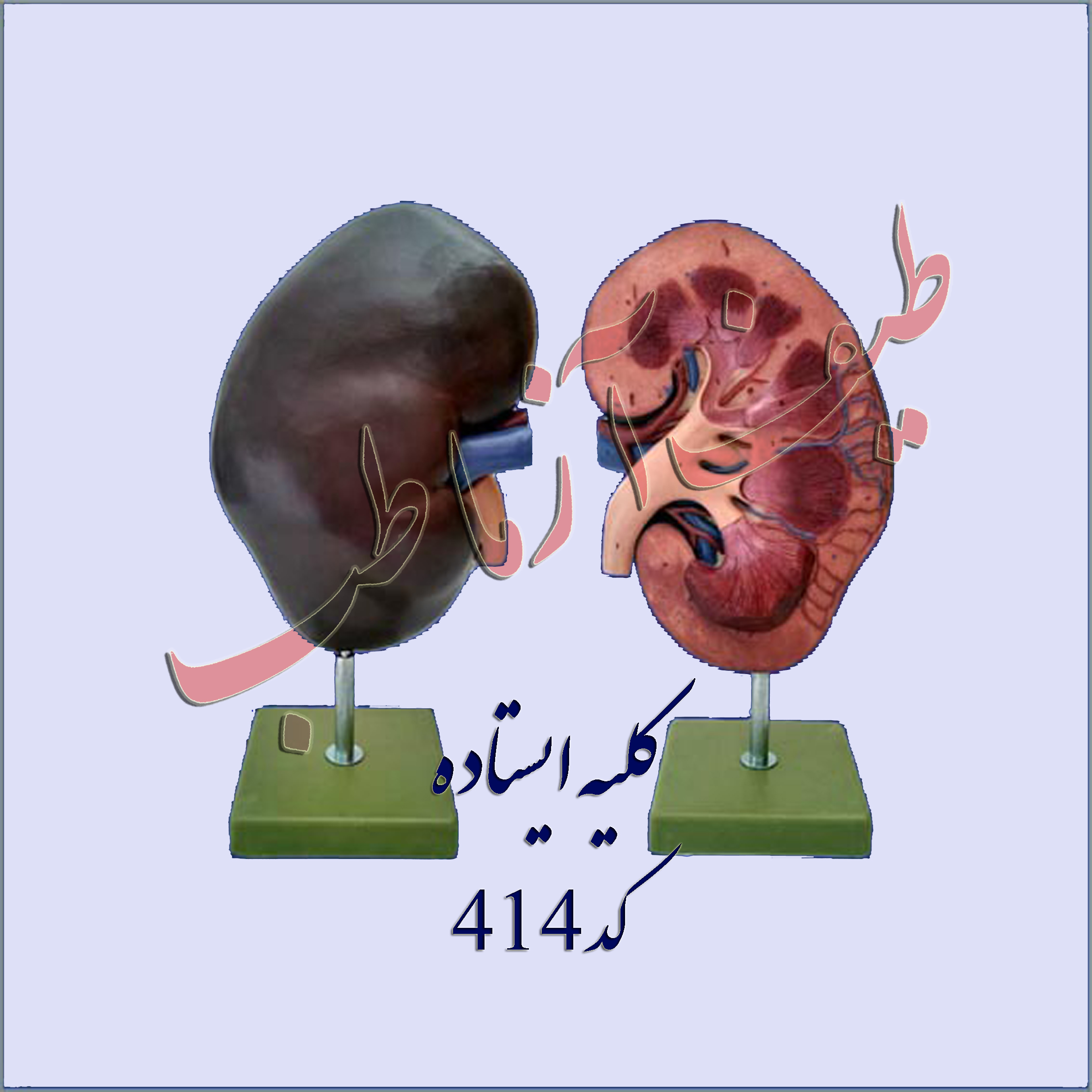 دستگاه ادراری