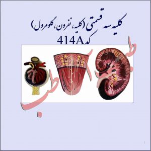 دستگاه ادراری